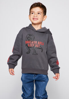 Poleron Canguro Estampado Acero  Family Shop