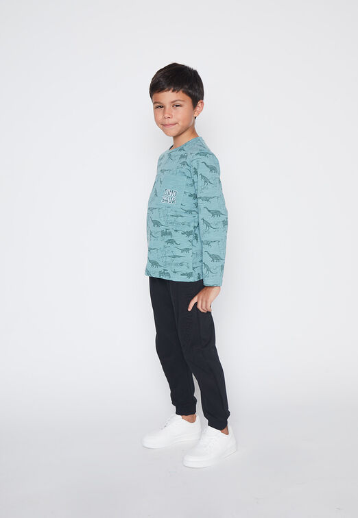 Polera Nino Verde Dinosaur Family Shop