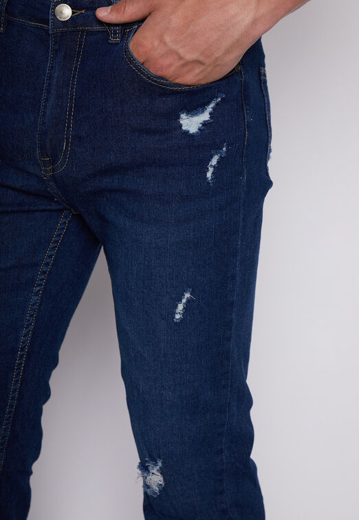 Jeans Destroyed Skinny Azul Family Shop
