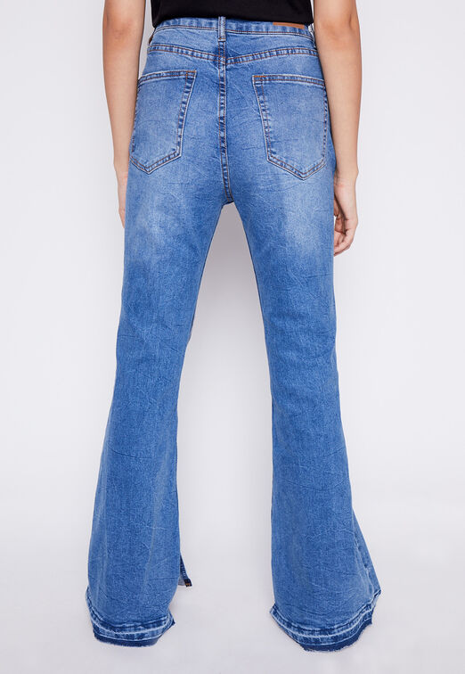 Jeans Flare Destroyer Azul Family Shop