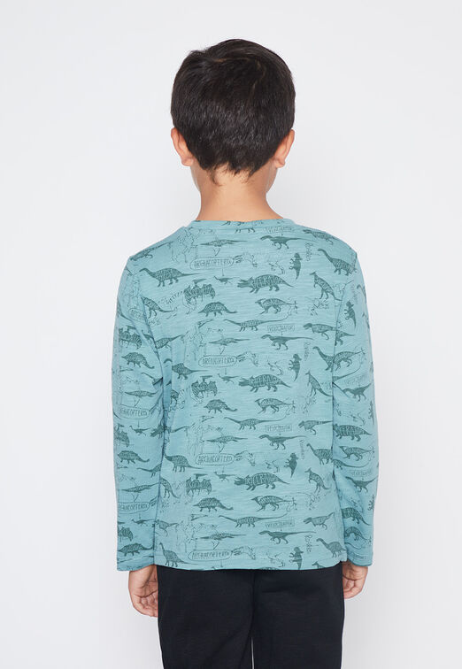Polera Nino Verde Dinosaur Family Shop