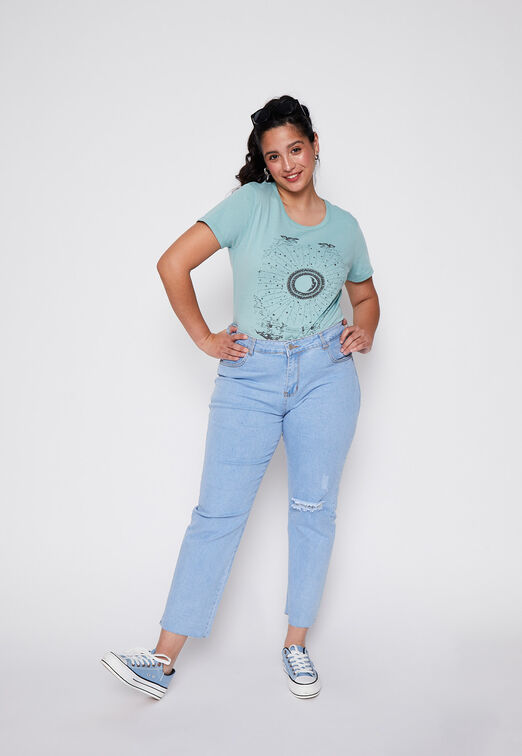 Jeans Plus Size Straight Destroyed Azul Family Shop