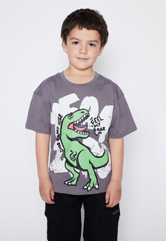 Polera Nino Acero Dinosaurio Family Shop