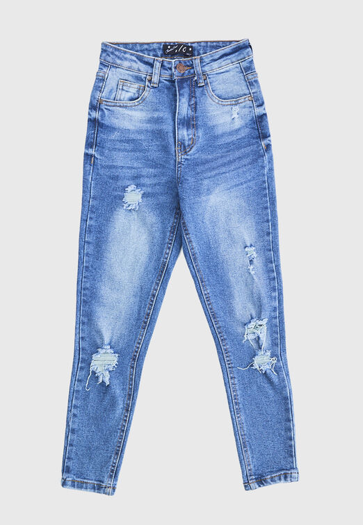 Jeans  Skinny Destroyed Azul Family Shop
