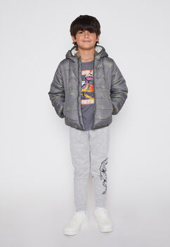 Pantalon De Buzo Nino Gris Dinosaurio Family Shop