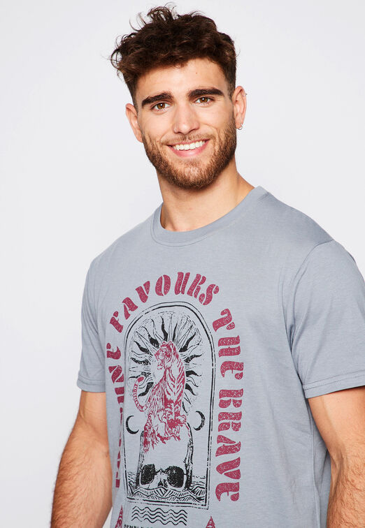 Polera Mistica Gris Family Shop
