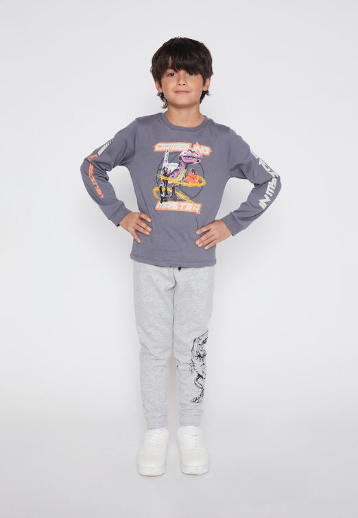 Polera Nino Gris Dino Family Shop
