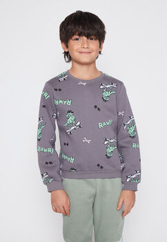 Poleron Nino Gris Dino Skate Family Shop