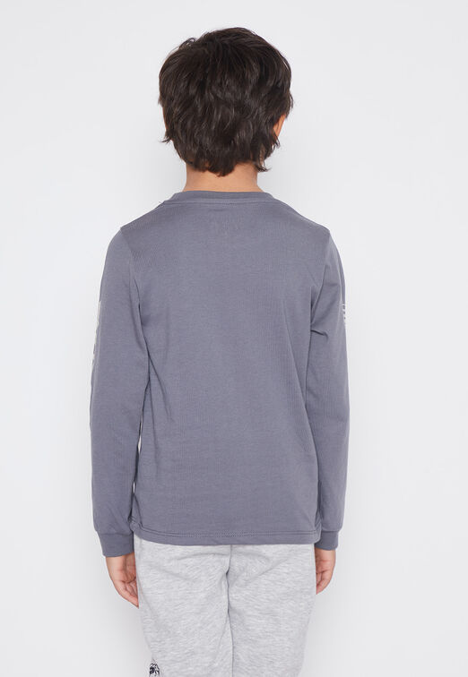 Polera Nino Gris Dino Family Shop