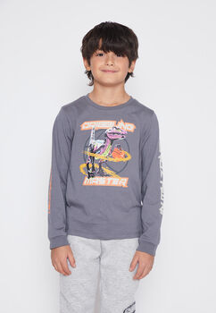 Polera Nino Gris Dino Family Shop