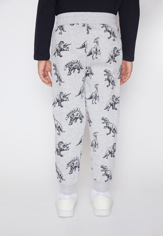 Pantalon De Buzo Nino Gris Dinosaurio Color Family Shop