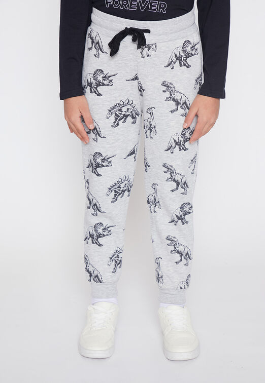 Pantalon De Buzo Nino Gris Dinosaurio Color Family Shop