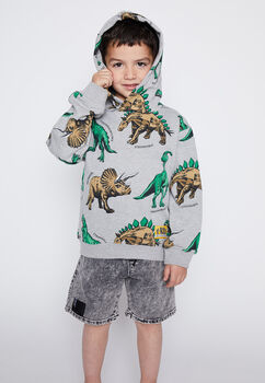 Poleron Nino Gris Triceratops Family Shop